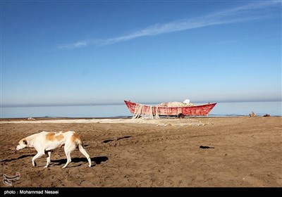 شبه جزیرة میانکاله فی بحر قزوین شمالی ایران