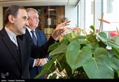 دیدار نماینده ویژه پوتین در امور سوریه با ولایتی