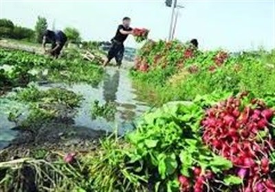 مصرف آب رودخانههای ری در کشاورزی ممنوع است