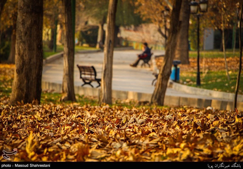آخرین روز پاییز در تهران