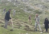طرح جنگلانه در مناطق حفاظت شده شهرستان کهگیلویه اجرا می‌شود