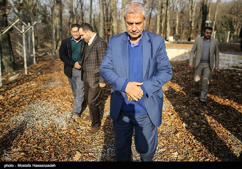 ماجرای قتل "آتنا" ما را تکان داد/ بررسی این پدیده‌ها بر عهده بهزیستی است