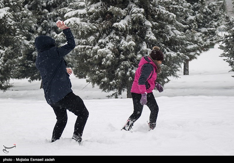 دمای تهران فردا به «منفی 3 درجه» می‌رسد/شدت بارش برف پنج‌شنبه در 10 استان