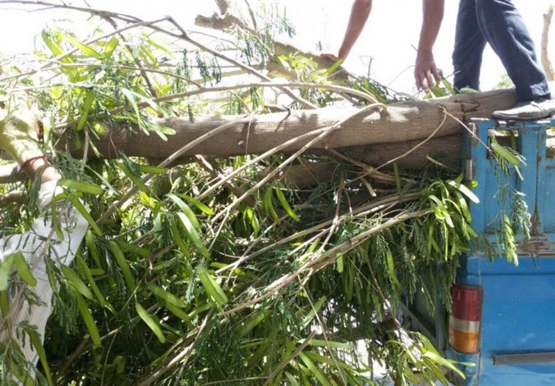 نفس‌های فریس به شماره افتاد