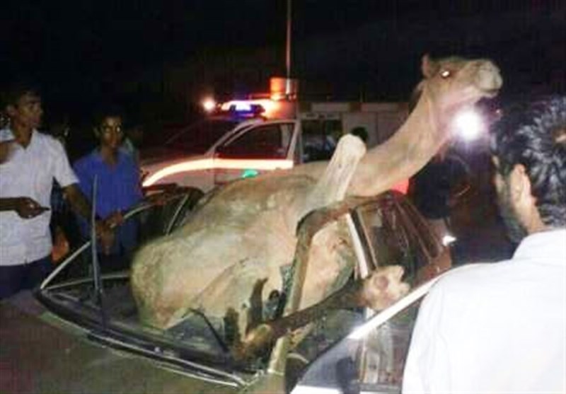 برخورد خودرو سواری با شتر در محور ایرانشهر- دلگان 5 مجروح بر جای گذاشت