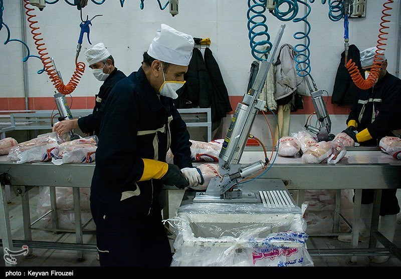 80 هزار تن گوشت مرغ در استان کردستان تولید می‌شود