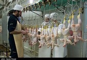 نرخ مرغ در بازار اصفهان در 2 هفته 10 درصد افزایش یافت