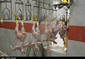 نرخ مرغ در بازار اصفهان 2 هزار تومان کاهش یافت