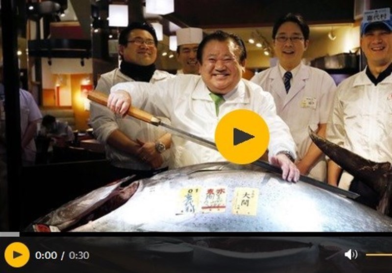 فیلم/فروش ماهی تُن 212 کیلویی به قیمت 500 هزار پوند