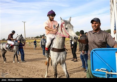 بطولة ایران لسباق الخیول فی مدینة أهواز
