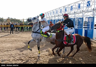 Iranian Horse Racing Competition in Ahvaz