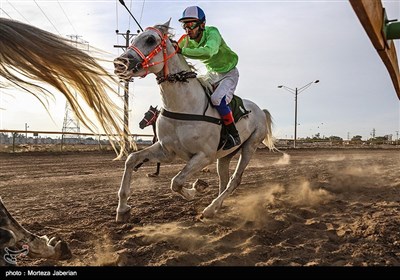 Iranian Horse Racing Competition in Ahvaz
