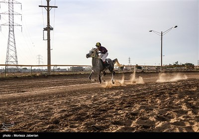 Iranian Horse Racing Competition in Ahvaz