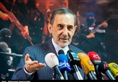 Velayati Hails Turkey’s Iraq Withdrawal Plan
