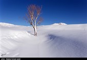 طبیعت زمستانی ارومیه