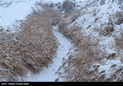 طبیعت زمستانی ارومیه