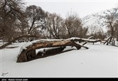 طبیعت زمستانی ارومیه
