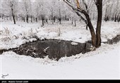 طبیعت زمستانی ارومیه