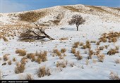 طبیعت زمستانی ارومیه