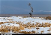 طبیعت زمستانی ارومیه