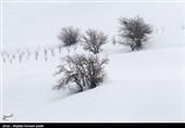 طبیعت زمستانی ارومیه