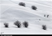 طبیعت زمستانی ارومیه