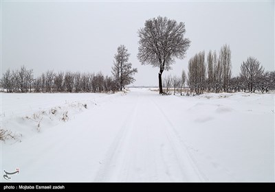 طبیعت زمستانی ارومیه