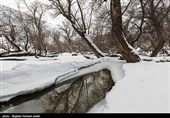 طبیعت زمستانی ارومیه