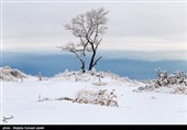 طبیعت زمستانی ارومیه