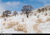 طبیعت زمستانی ارومیه