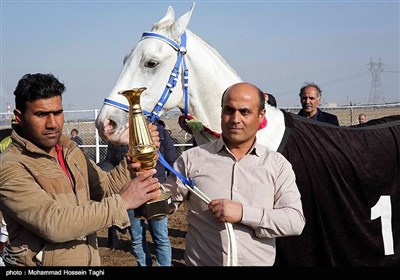 مسابقات کورس اسب دوانی قهرمانی کشور - مشهد