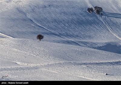 ایران کے شہر ارومیہ میں برفباری