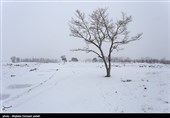 راه ارتباطی 17 روستای شهرستان دوره‌چگنی براثر بارش برف مسدود شد