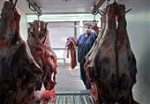 13 هزار تن گوشت دام سبک و سنگین از دامداران خرید حمایتی می‌شود