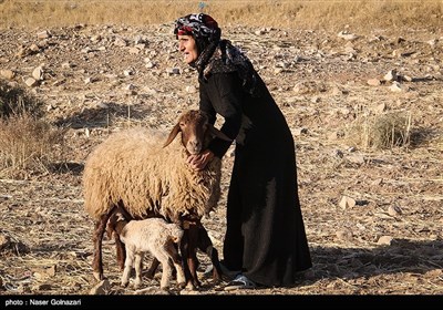 العشائر الرحل فی ایلام غربی ایران