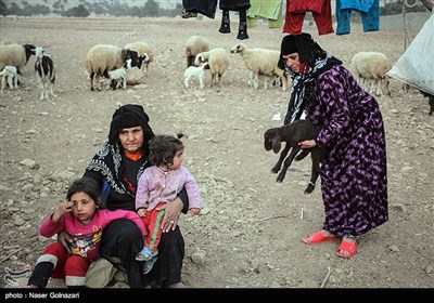 العشائر الرحل فی ایلام غربی ایران