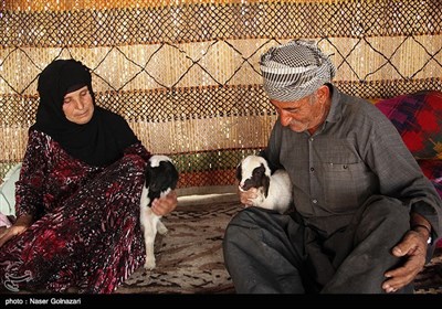 العشائر الرحل فی ایلام غربی ایران