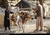 خوزستان| تامین آب مورد نیاز عشایر اندیمشک؛ آب‌رسانی با تانکر به عشایر