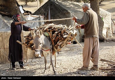 العشائر الرحل فی ایلام غربی ایران