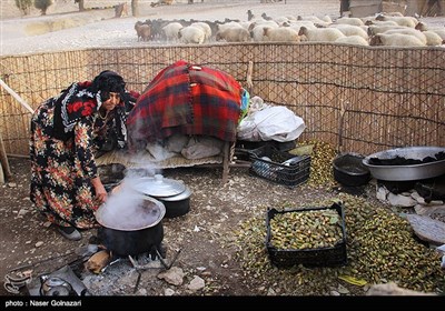 العشائر الرحل فی ایلام غربی ایران