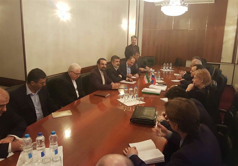Iranian, Russian Nuclear Officials Discuss Closer Cooperation