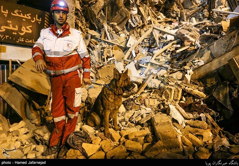 آواربرداری «پلاسکو» سخت‌تر از امدادرسانی زلزله 6 ریشتری