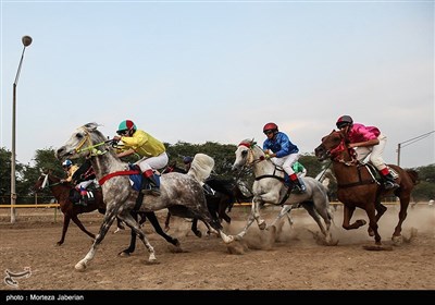 مسابقات اسب سواری قهرمانی کشور در خوزستان