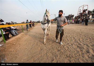 مسابقات اسب سواری قهرمانی کشور در خوزستان