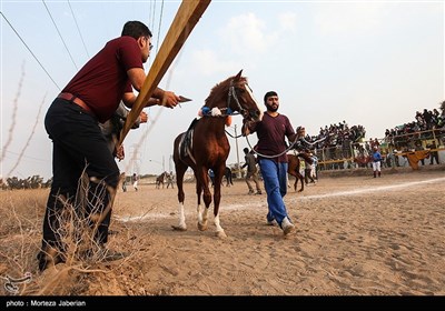 مسابقات اسب سواری قهرمانی کشور در خوزستان