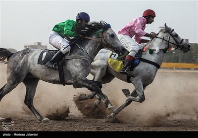 مسابقات اسب سواری قهرمانی کشور در خوزستان