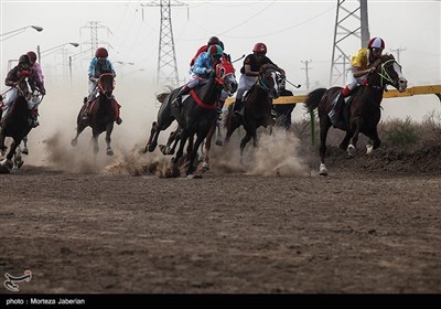 مسابقات اسب سواری قهرمانی کشور در خوزستان