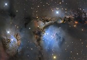 عکس روز ناسا/ M78 و بازتاب غبار جبار