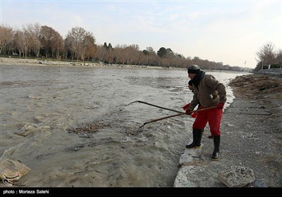 زاینده رود جان دوباره گرفت