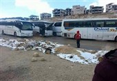 آزادسازی 2 شهرک دیگر در حومه شرقی «حلب»/حملات شدید ارتش به داعش در «قلمون» + تصاویر